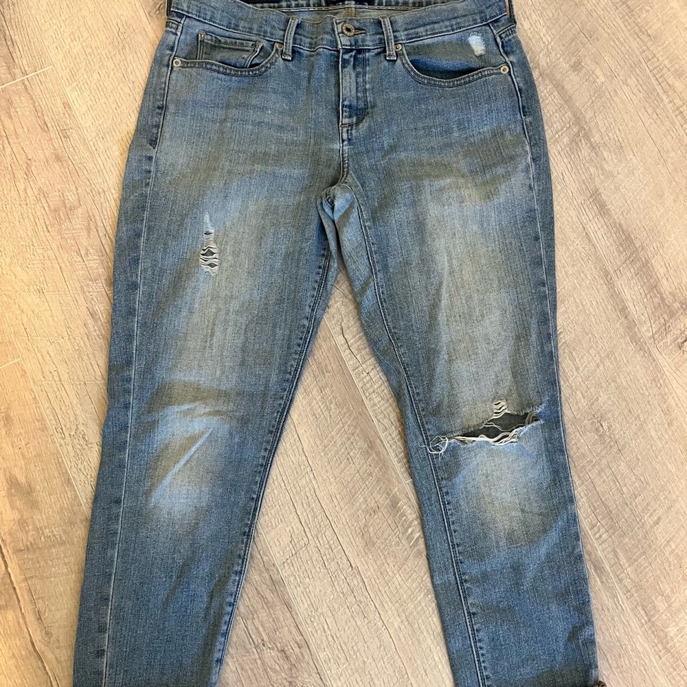 Lucky Brand Charlie Skinny Blue Denim